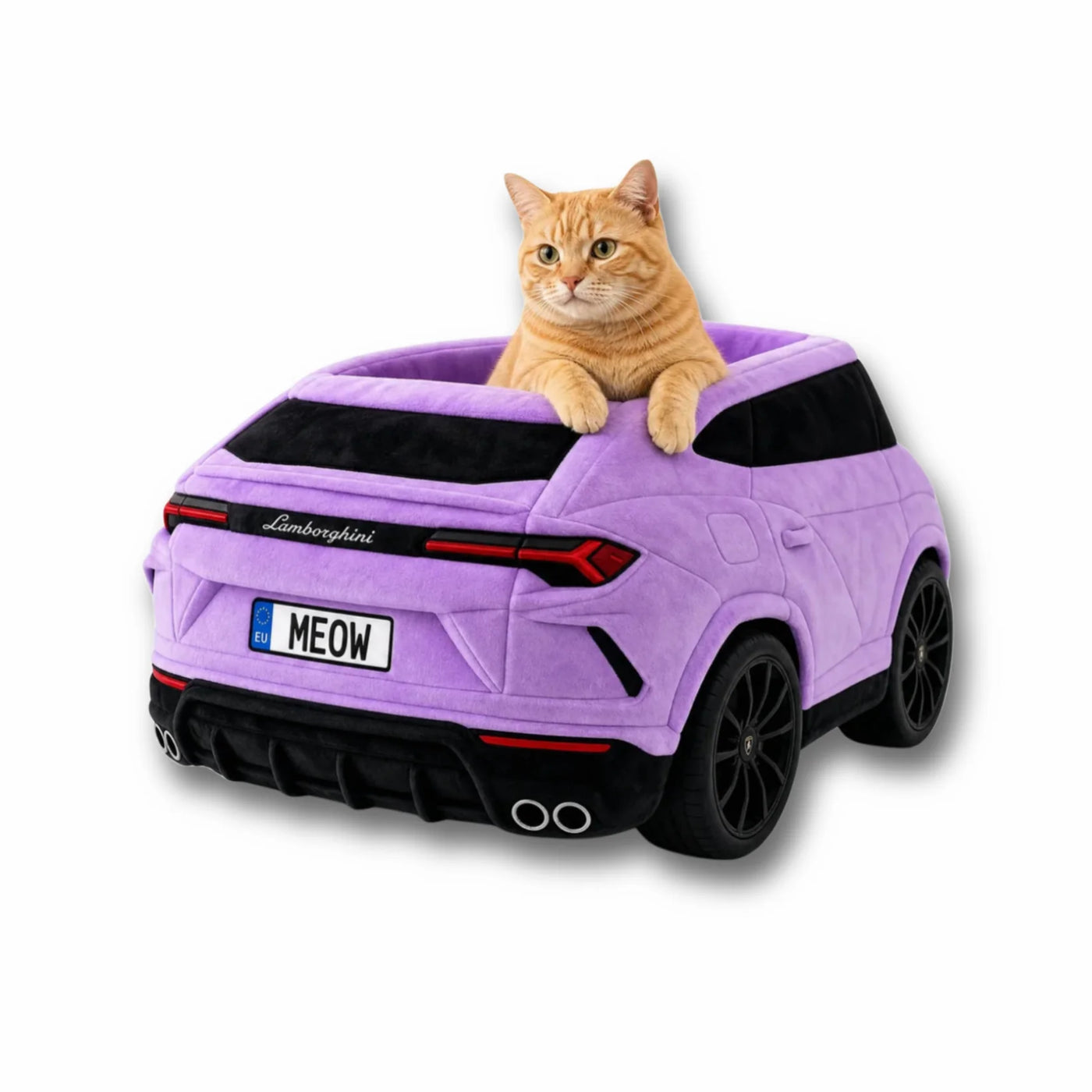Lit Mural Voiture pour Chat